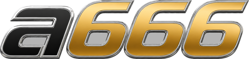 a666
